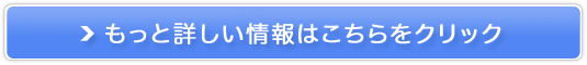 {C̃lbgVbv\zT[rXmCARTSTARiJ[gX^[jn̔TCg